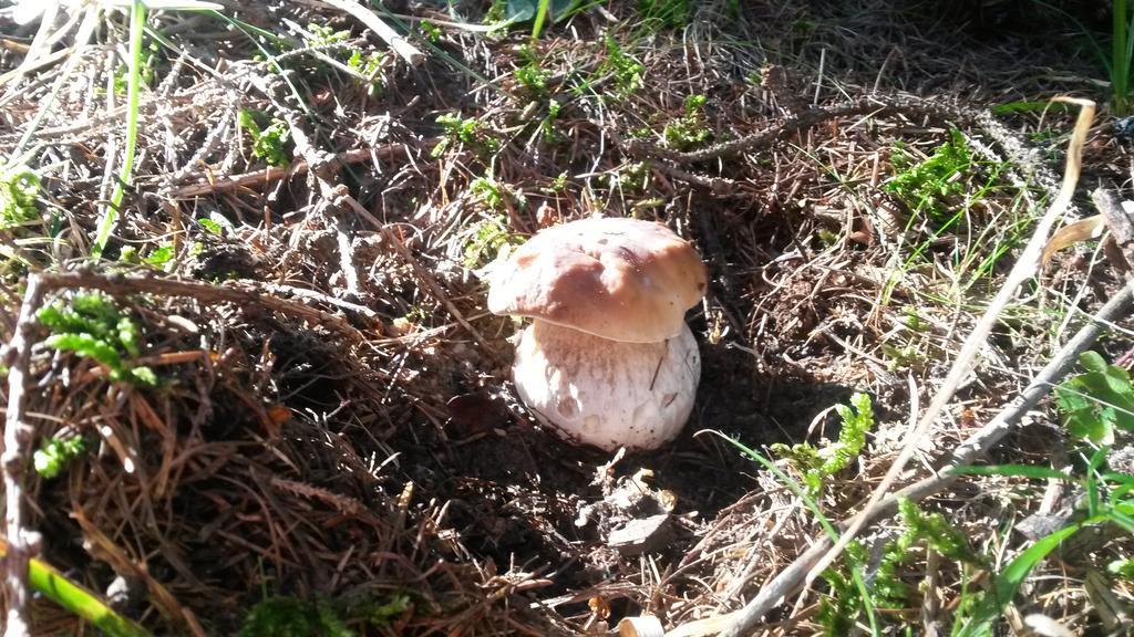Lo Ni di Candolle Gignod Esterno foto